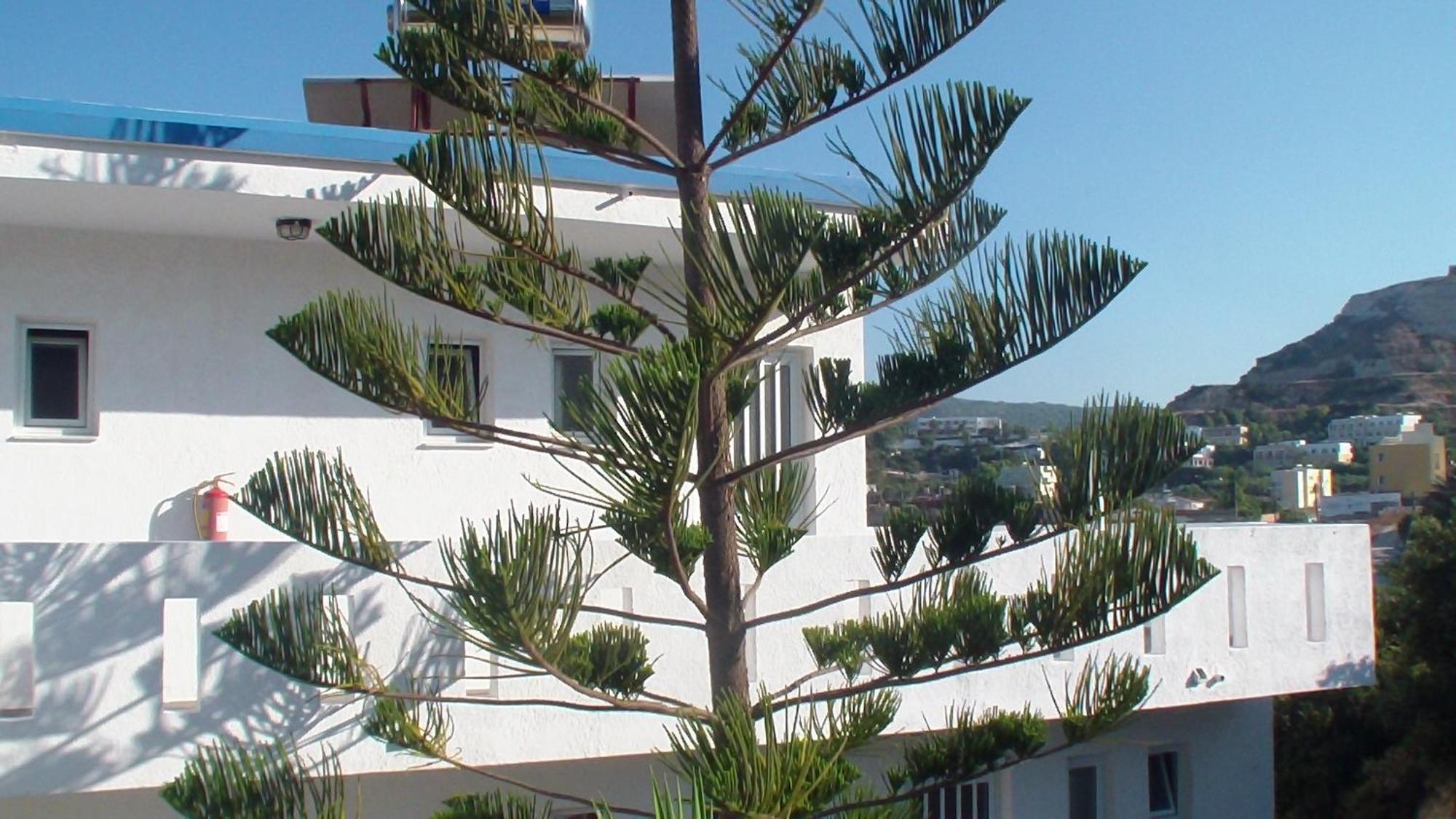 Creta Vassakis Studios Kéfalos Exterior foto